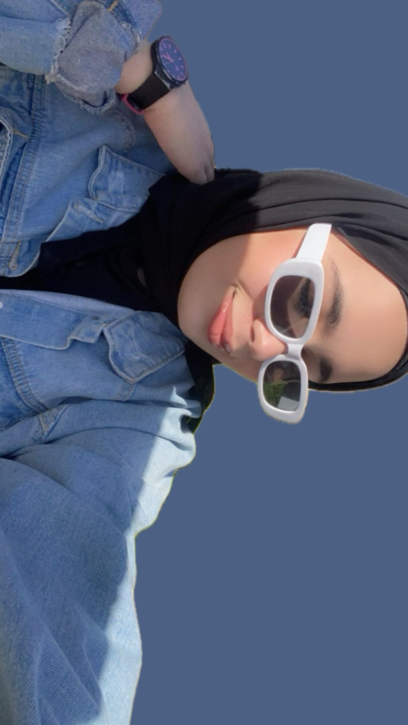Alaa Mohmammad